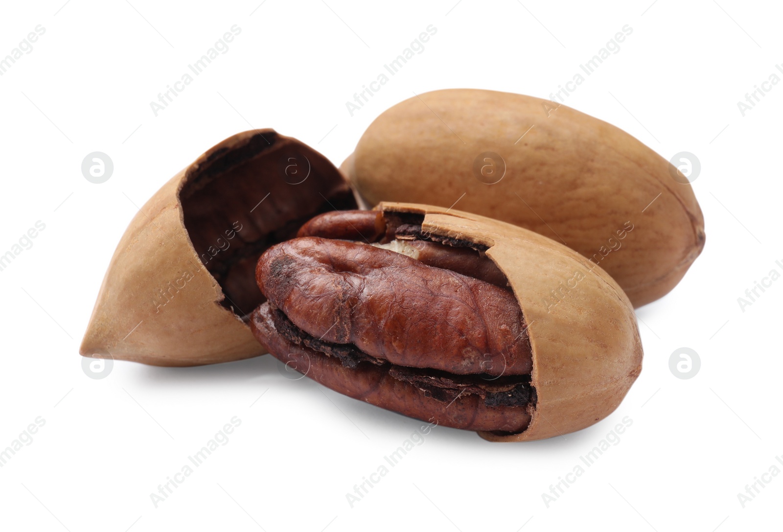 Photo of Two tasty pecan nuts isolated on white