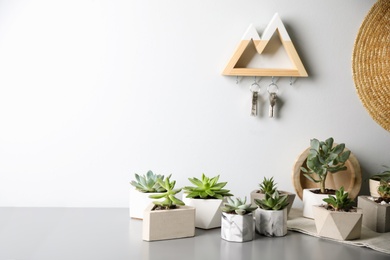 Beautiful succulents on grey table, space for text. Interior decoration