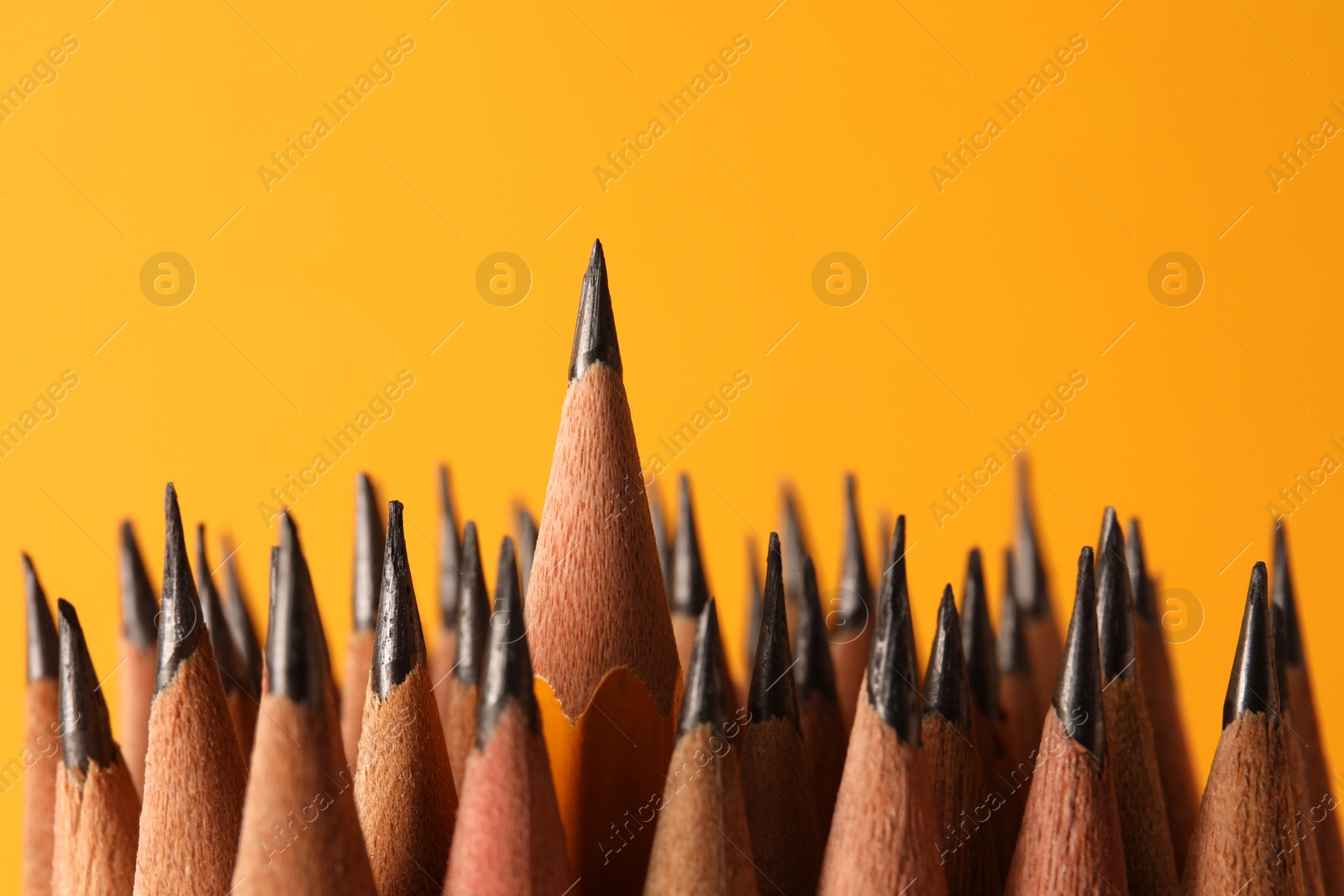 Photo of Many sharp graphite pencils on orange background, closeup. Space for text