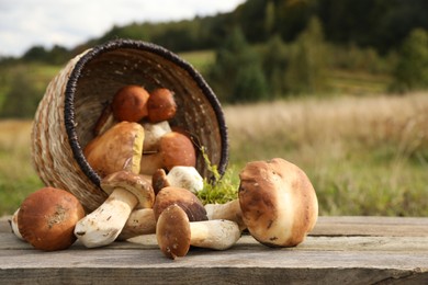 Photo of Fresh wild mushrooms on wooden table outdoors, space for text