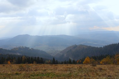 Beautiful landscape with forest in mountains on autumn day