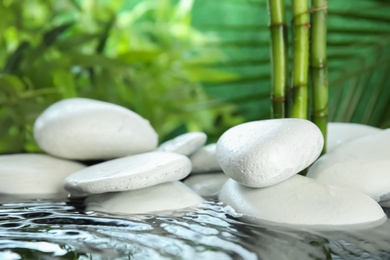 White zen stones in water on blurred background