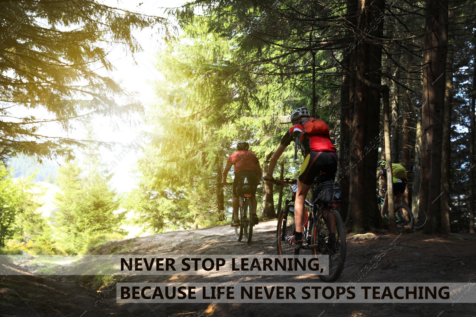 Image of Never Stop Learning, Because Life Never Stops Teaching. Motivational quote saying that knowledge comes from everywhere every day. Text against view of cyclist riding bicycles down forest trail