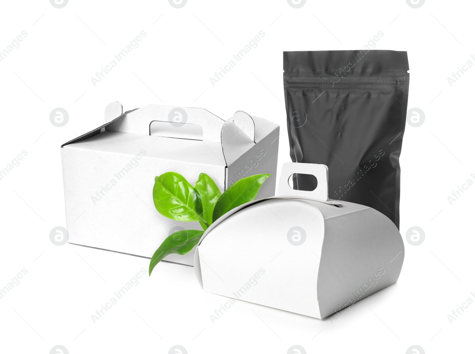 Image of Different containers and green fresh leaves on white background