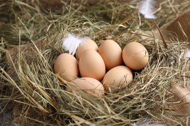 Photo of Fresh raw chicken eggs in nest on table, closeup
