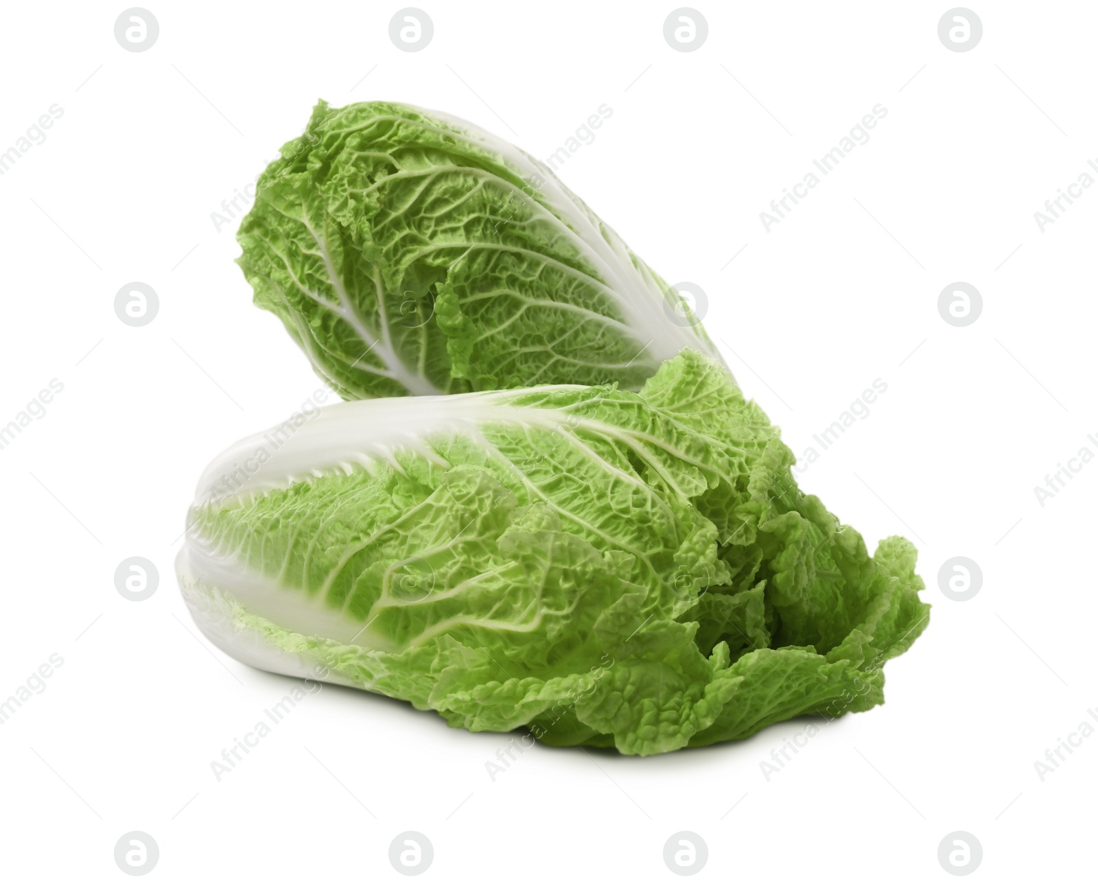 Photo of Fresh tasty Chinese cabbages on white background