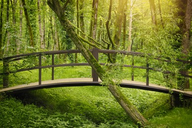 Photo of Picturesque viewtranquil park with green plants and bridge