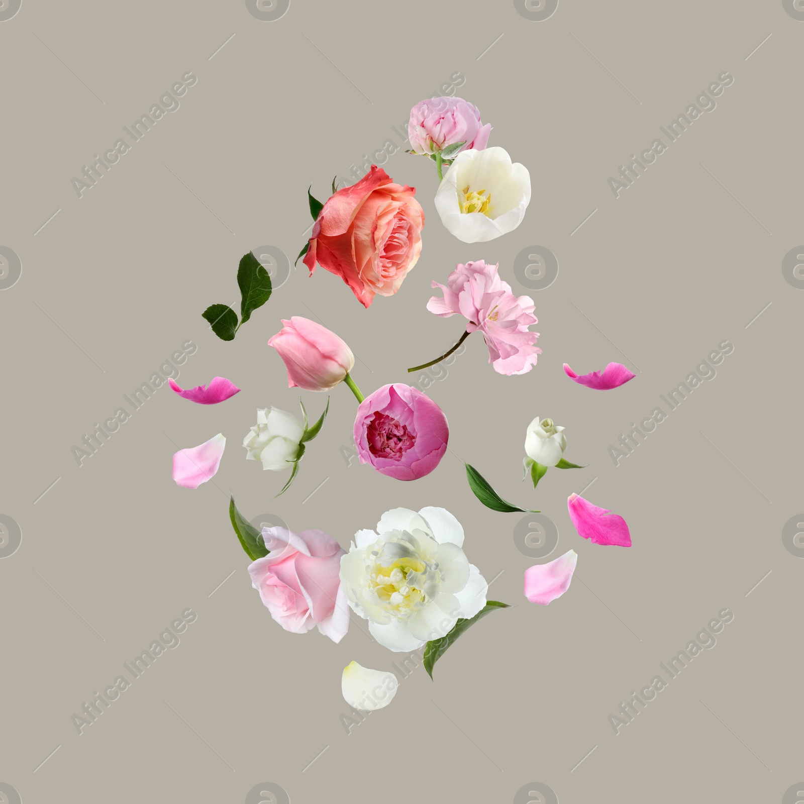 Image of Different beautiful flowers flying on light grey background