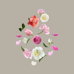 Image of Different beautiful flowers flying on light grey background