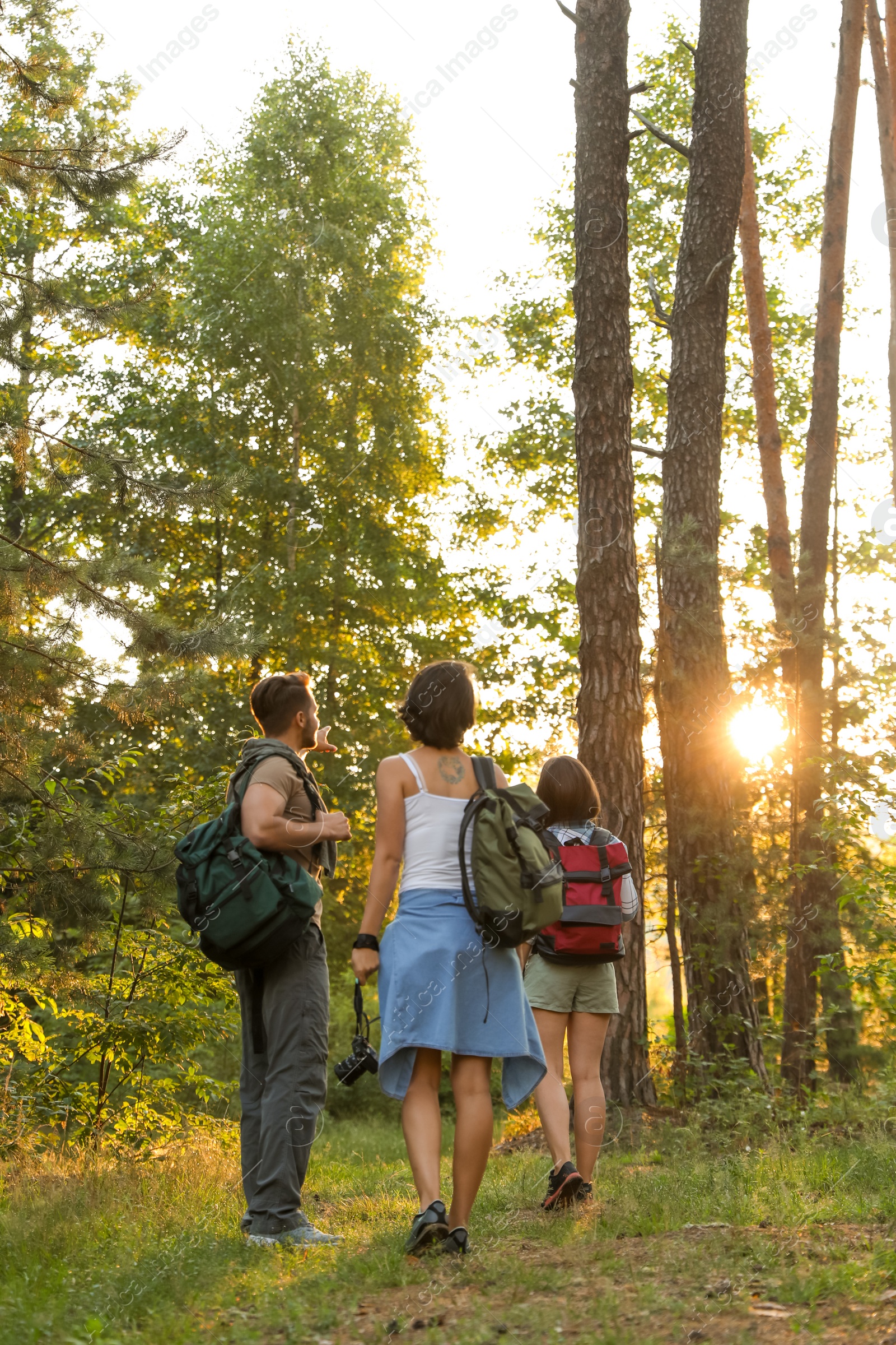 Photo of Young friends in forest on summer day. Camping season