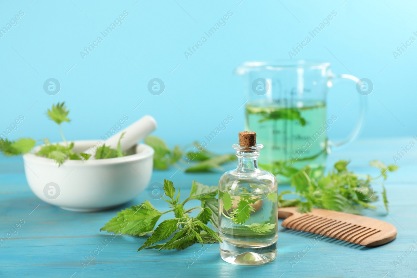 Photo of Stinging nettle extract and comb on light blue wooden background. Natural hair care