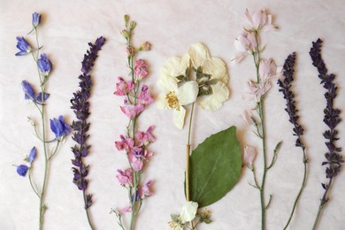 Photo of Beautiful dried flowers on sheet of paper, top view