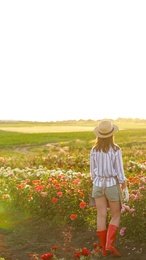 Woman near rose bushes in garden on sunny day