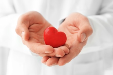 Photo of Doctor holding small red heart, closeup. Heart attack concept