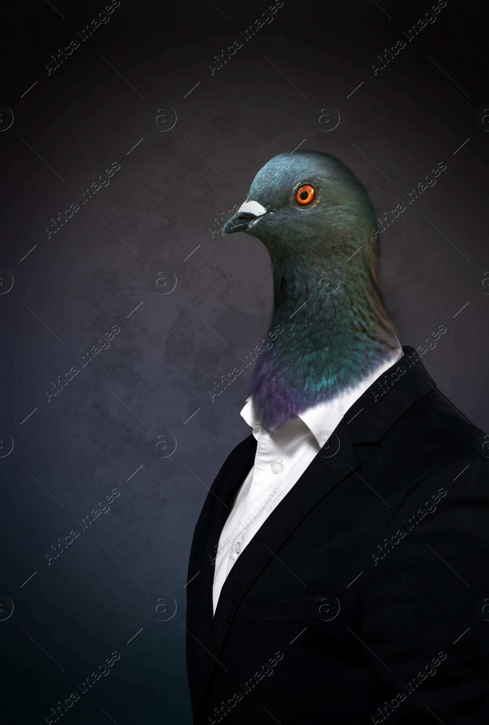 Image of Portrait of businessman with pigeon face on dark background