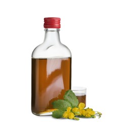 Photo of Bottle of celandine tincture and plant on white background