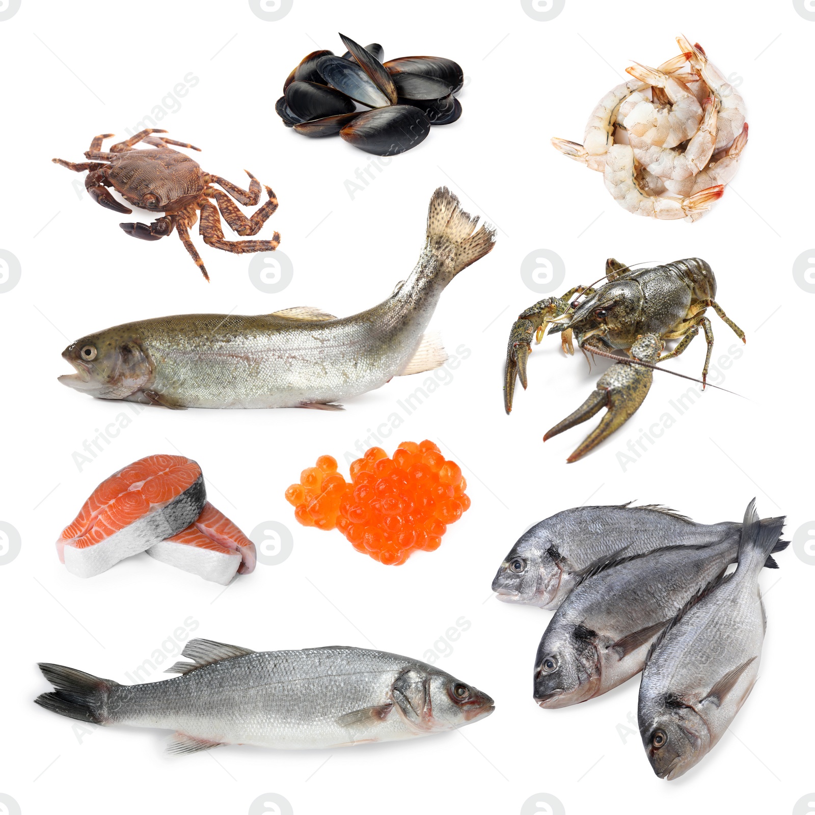 Image of Dorado fish and other seafood isolated on white, set