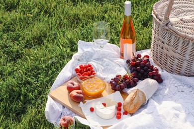 Photo of Picnic blanket with tasty food, basket and cider on green grass outdoors