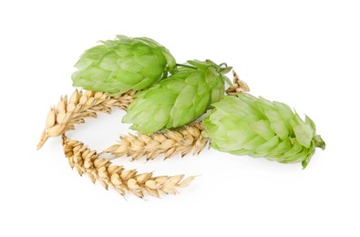 Photo of Fresh green hops and wheat spikes on white background