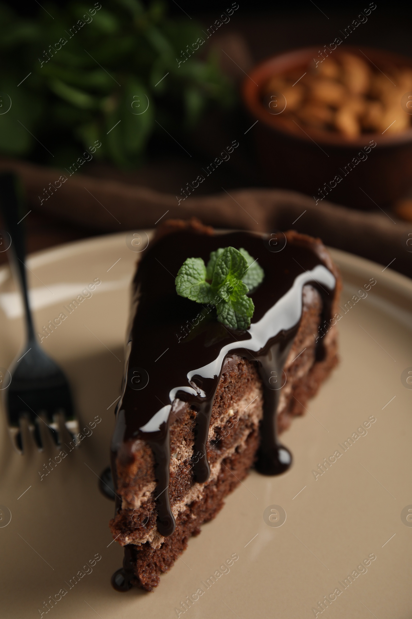 Photo of Piece of tasty homemade chocolate cake with mint on plate, closeup