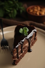 Piece of tasty homemade chocolate cake with mint on plate, closeup