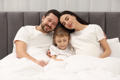 Photo of Pregnant woman with her son and husband in bed at home. Cute family