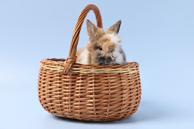 Photo of Cute little rabbit in wicker basket on light blue background