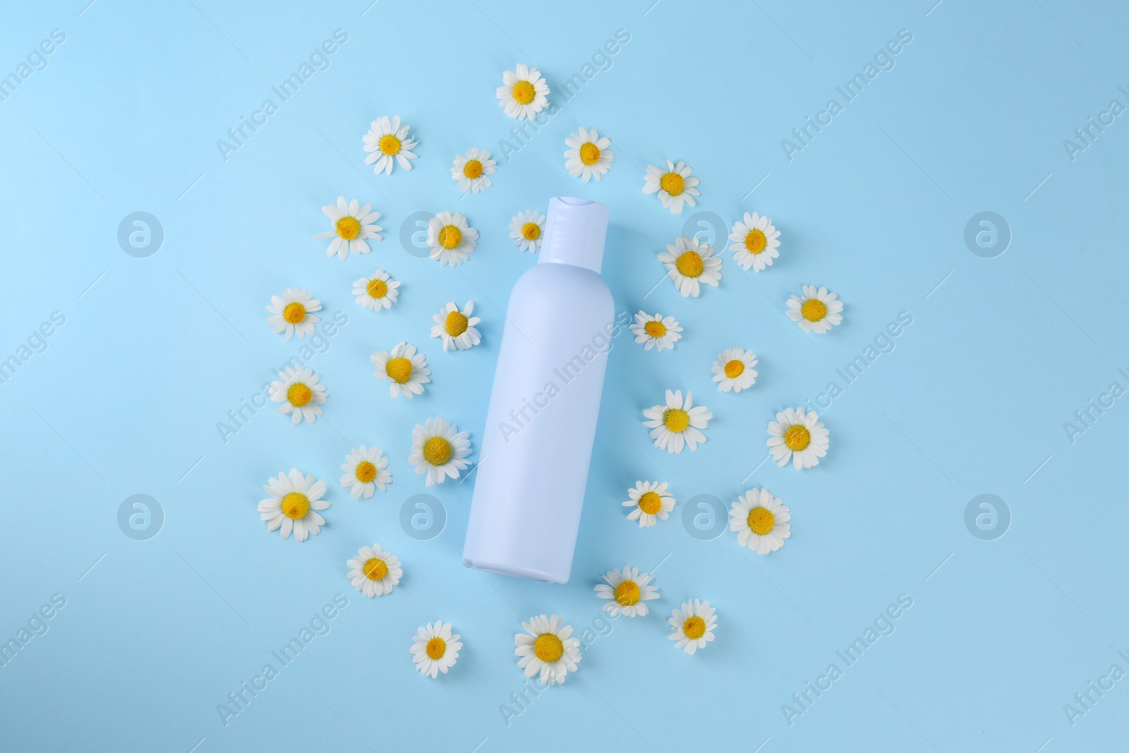 Photo of Bottle with skin care product for baby and daisies on light blue background, flat lay