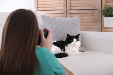 Photo of Professional animal photographer taking picture of beautiful cat at home