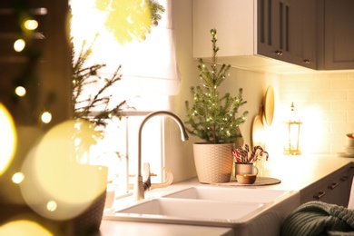 Photo of Beautiful kitchen decorated with potted firs. Interior design