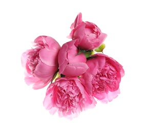 Photo of Bouquet of fresh peonies on white background, top view