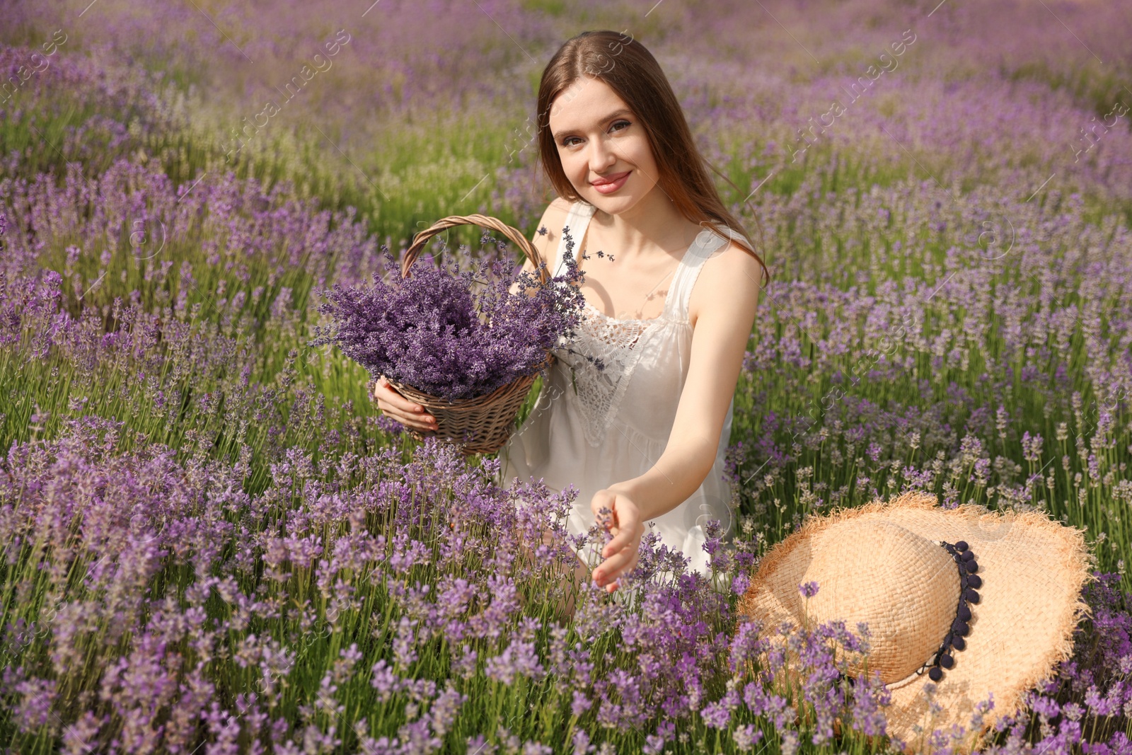 Photo of Young woman with straw hat and wicker basket full of lavender flowers in field