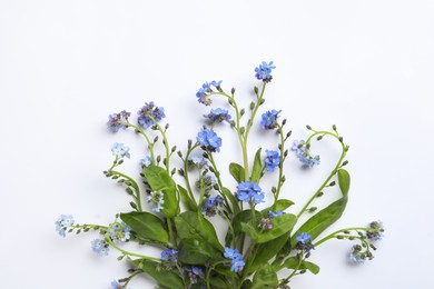 Photo of Beautiful blue forget-me-not flowers on white background, top view