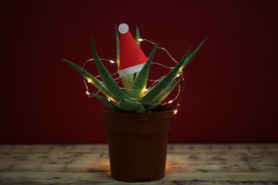 Photo of Cactus decorated with glowing fairy lights and santa hat on wooden table against red background