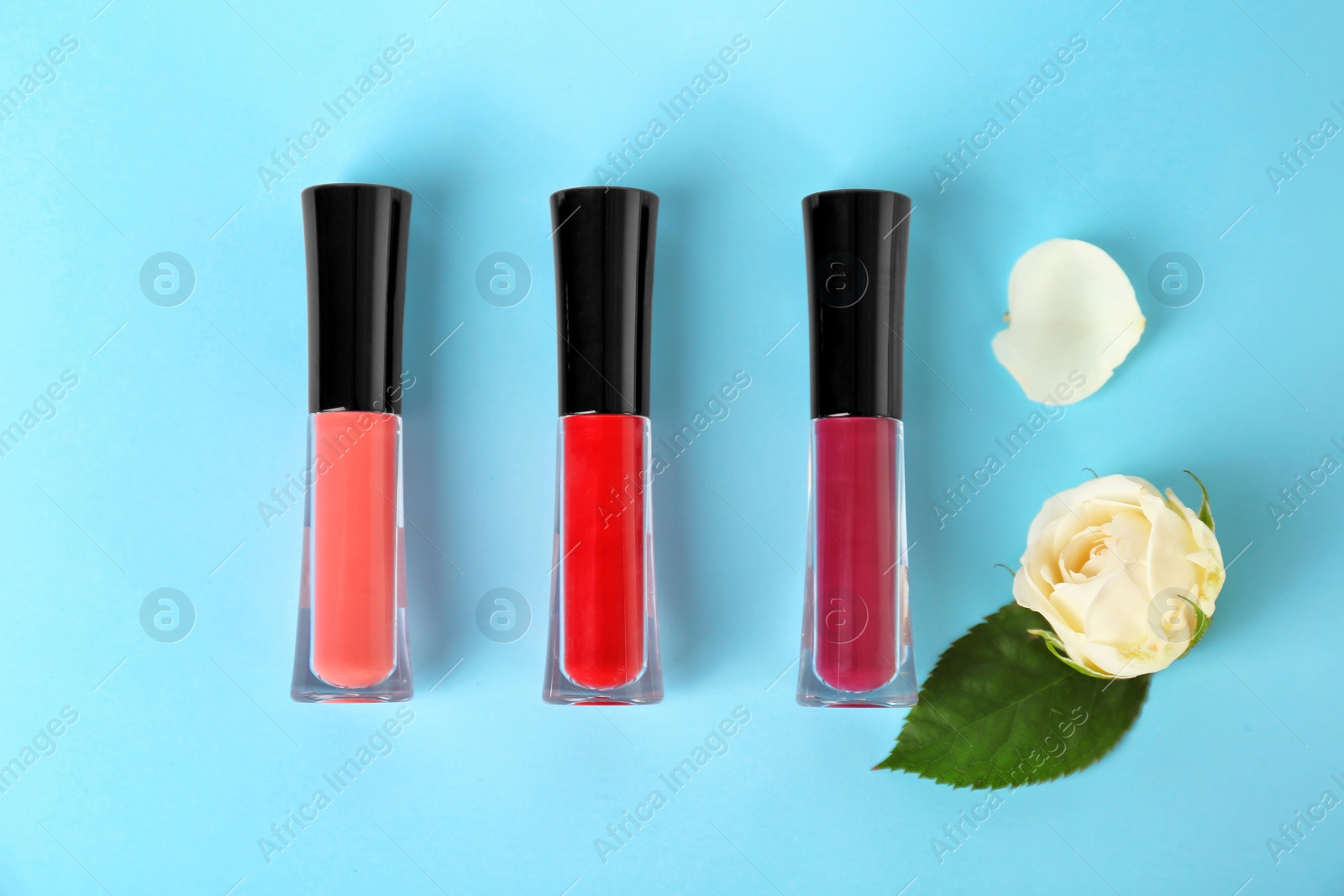 Photo of Lip glosses and flowers on color background