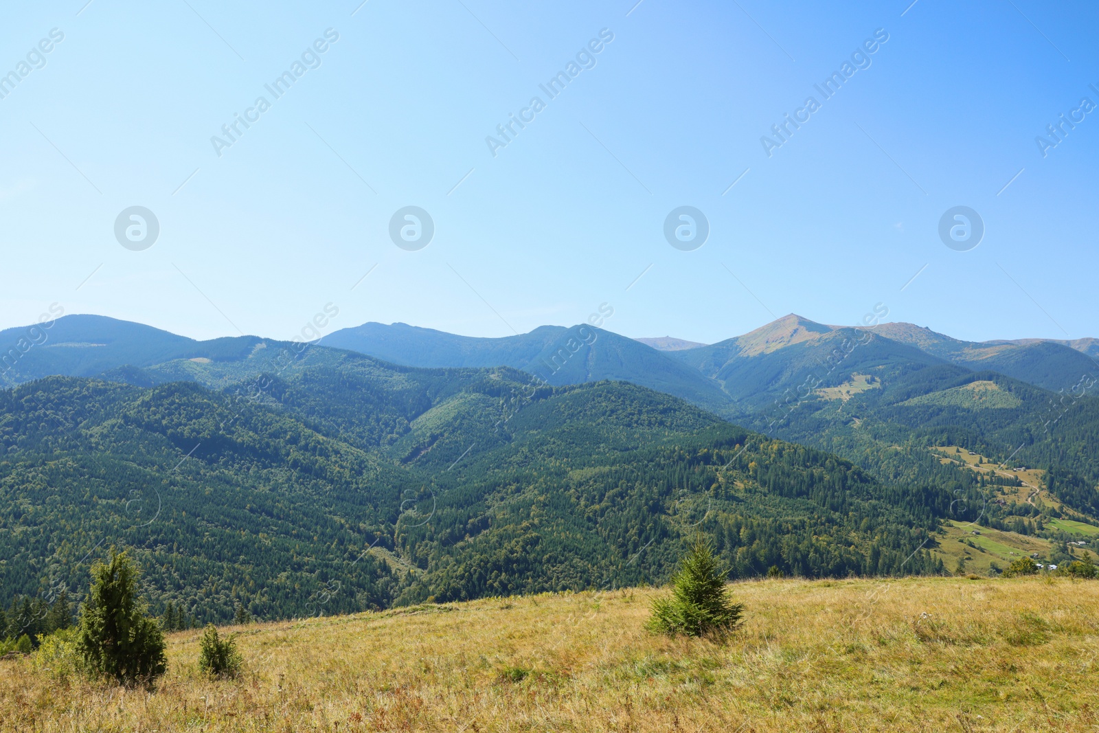 Photo of Beautiful view of landscape with mountain hills