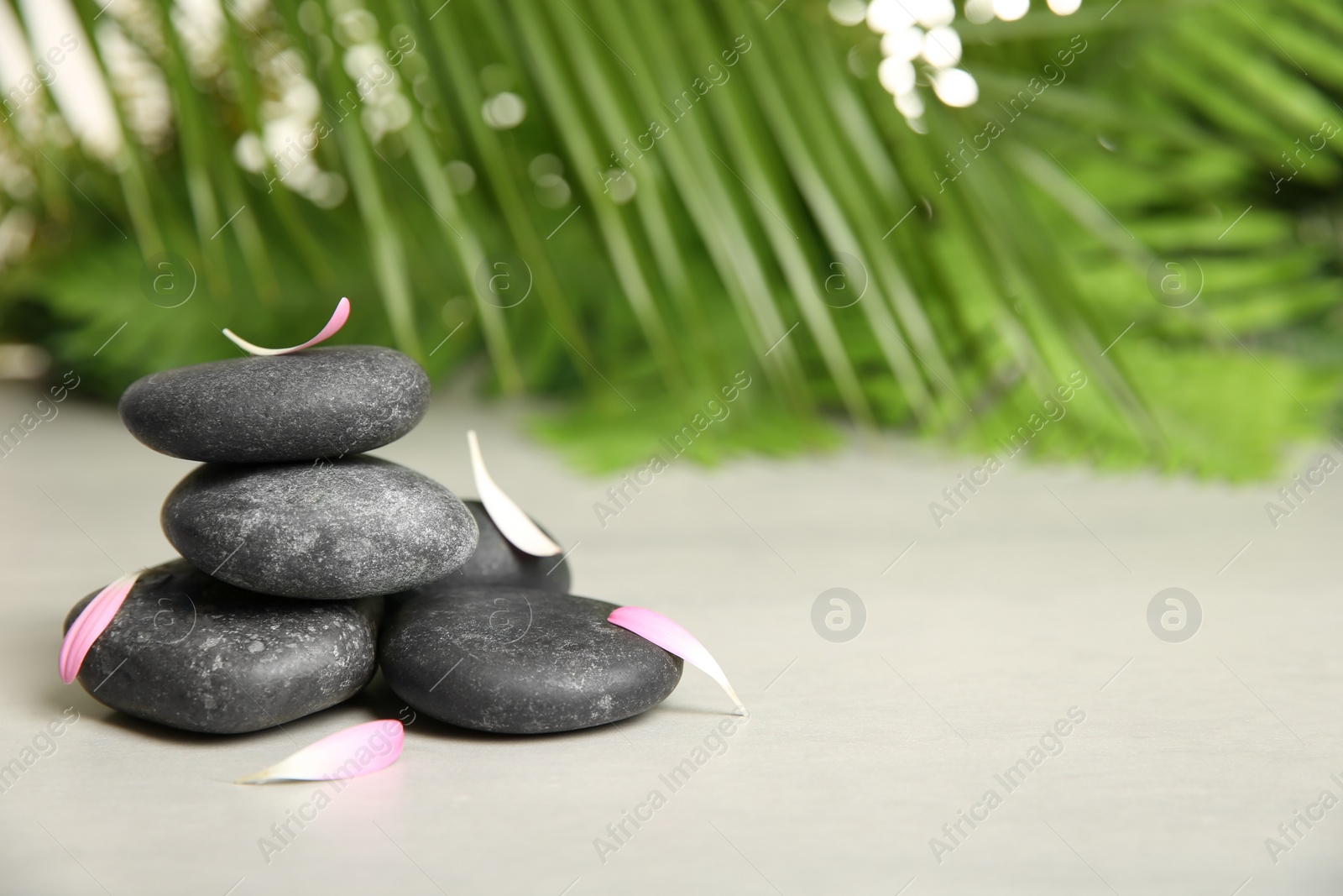 Photo of Spa stones with petals on table against blurred background. Space for text