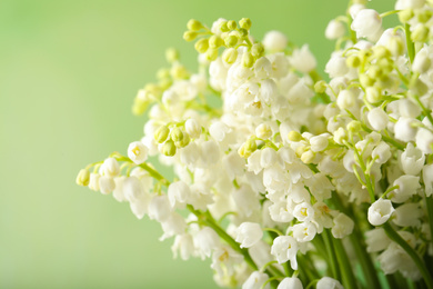 Photo of Beautiful lily of the valley flowers on green background, closeup