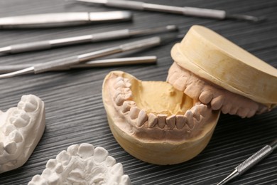 Dental models with gums and dentist tools on grey wooden table. Cast of teeth