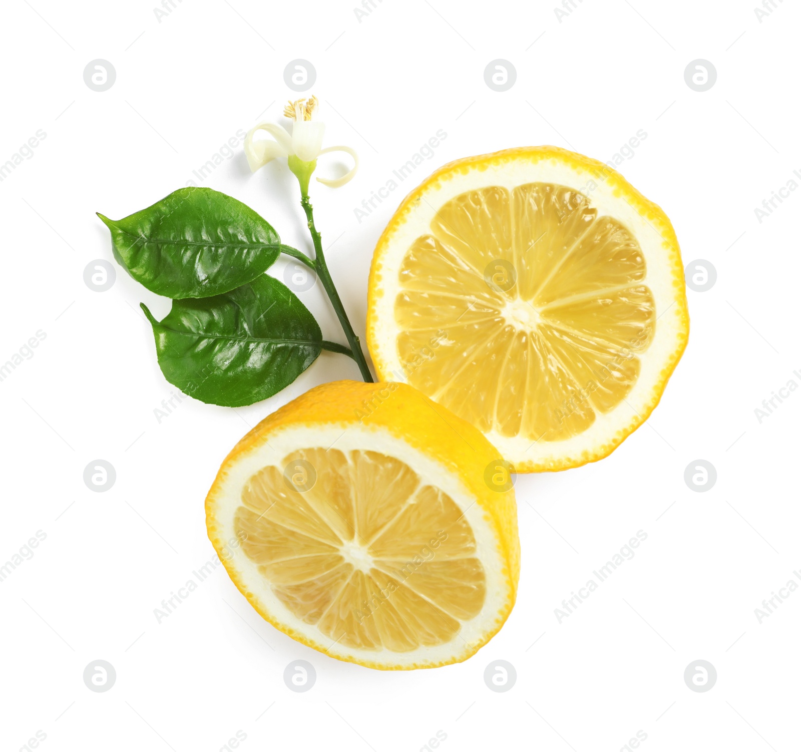 Photo of Fresh cut lemons with blossom on white background, top view