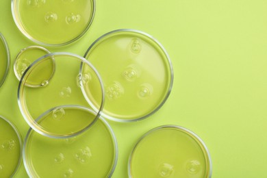 Photo of Petri dishes with liquid samples on green background, flat lay. Space for text