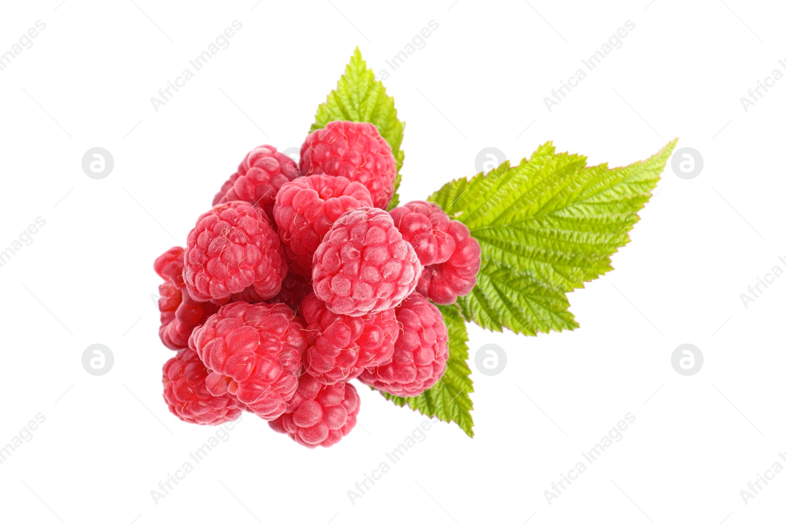 Photo of Fresh red ripe raspberries with green leaves isolated on white, top view