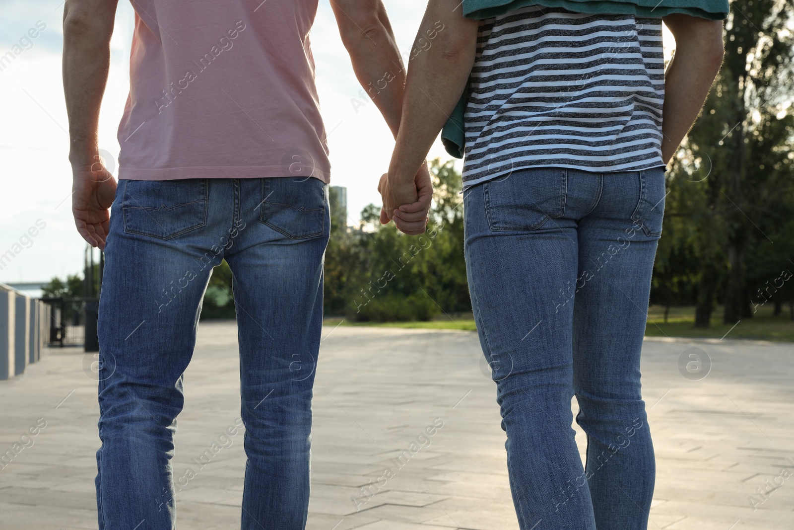 Photo of Gay couple walking outdoors on sunny day, back view