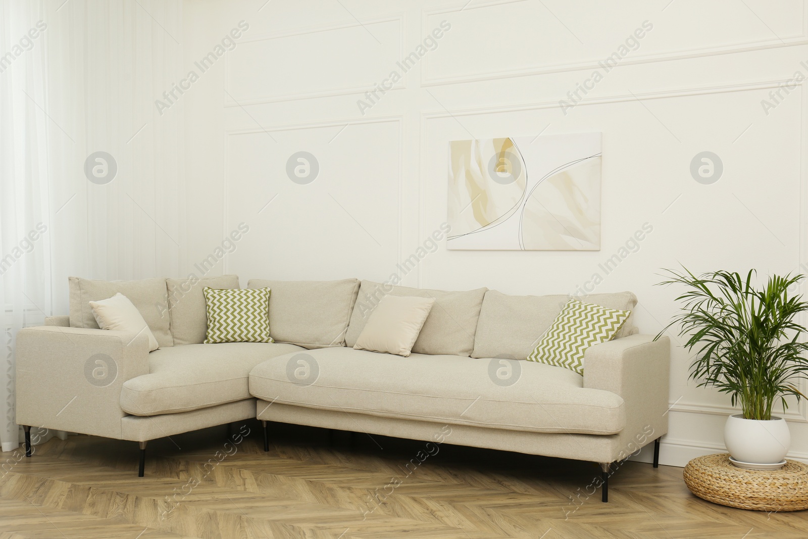 Photo of Comfortable sofa and houseplant near white wall in living room