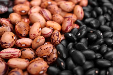 Photo of Different kinds of beans as background, closeup