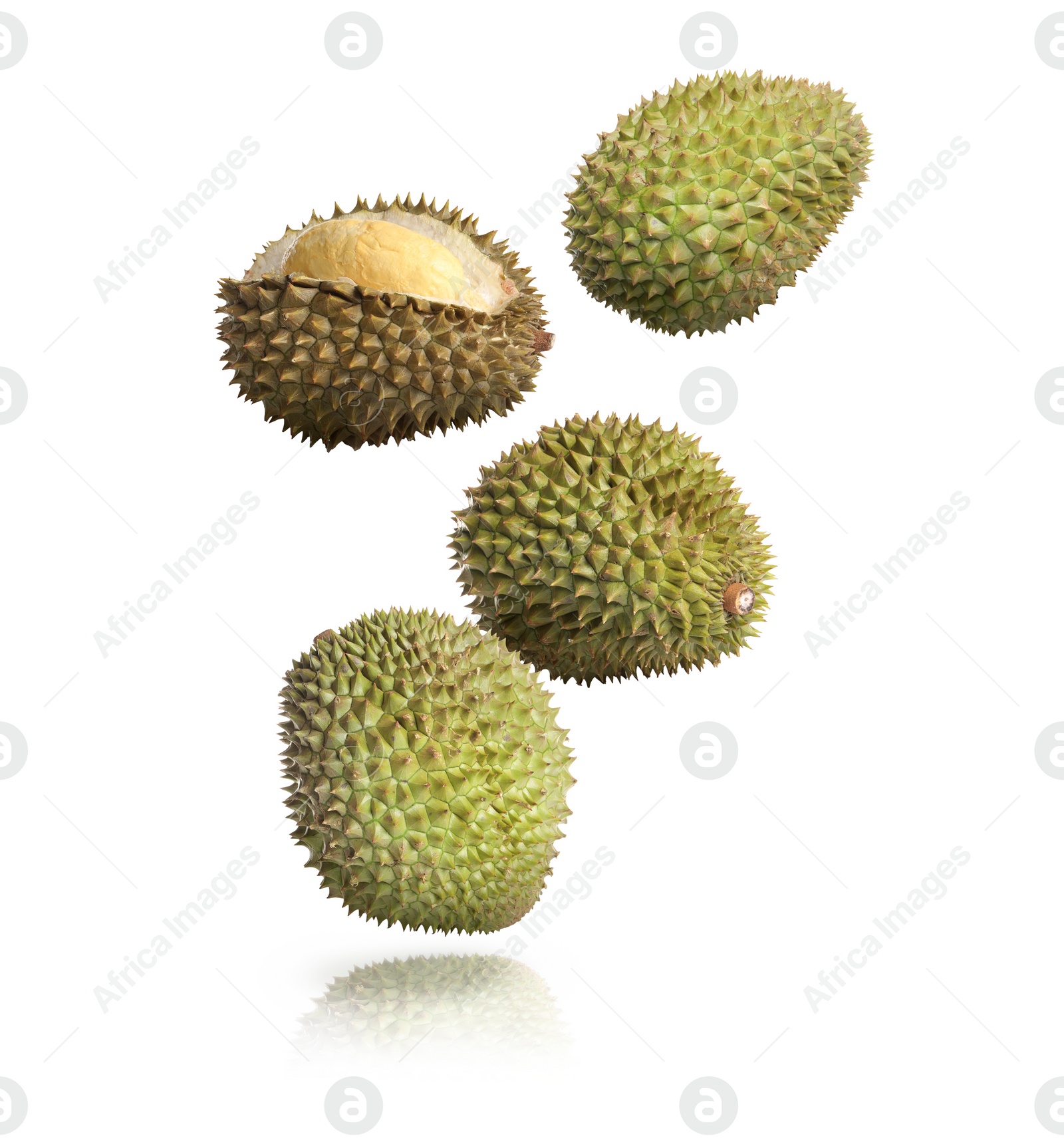 Image of Many ripe durian fruits falling on white background