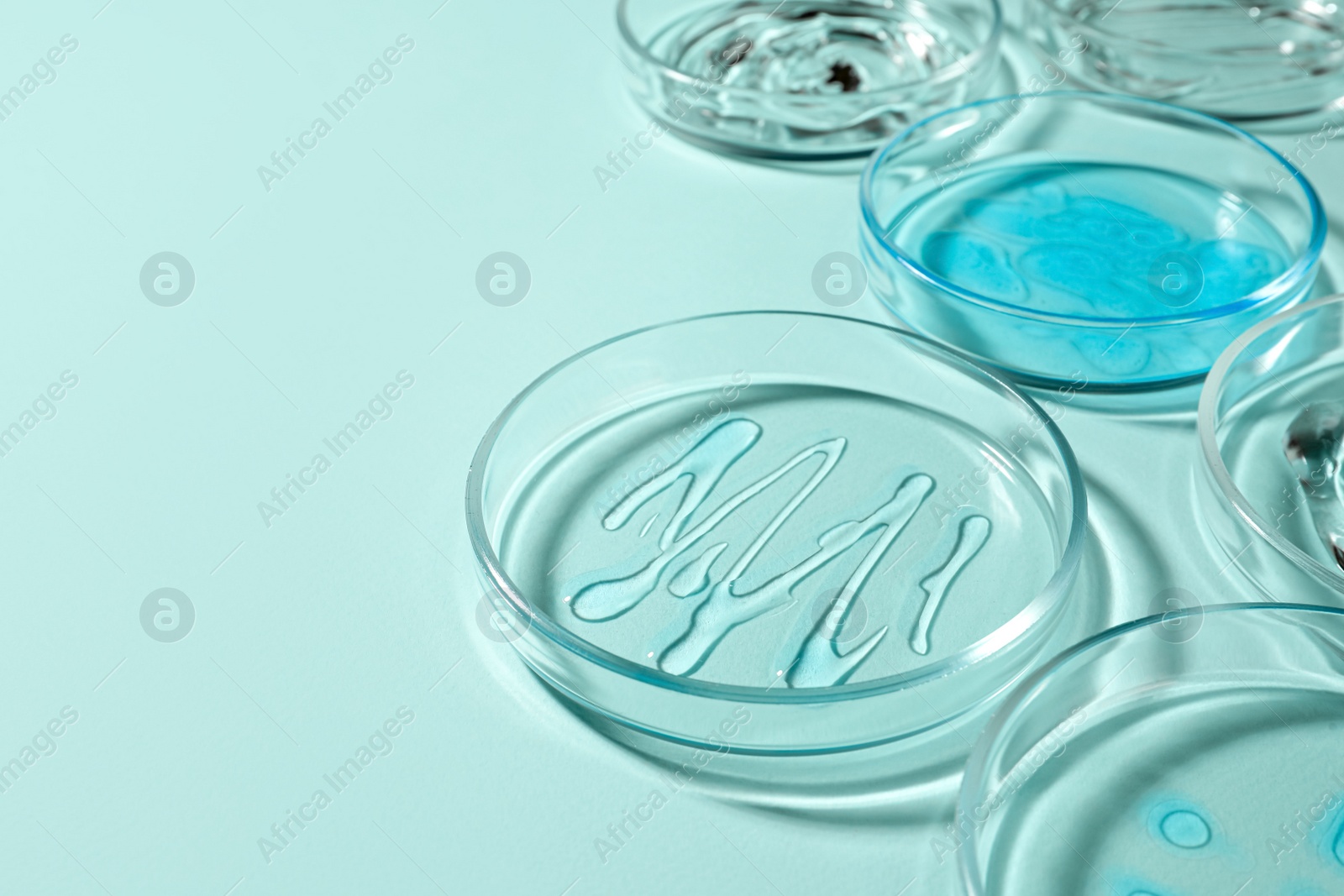 Photo of Petri dishes with liquids on turquoise background. Space for text