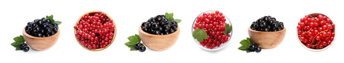 Image of Fresh red and black currants on white background, collection