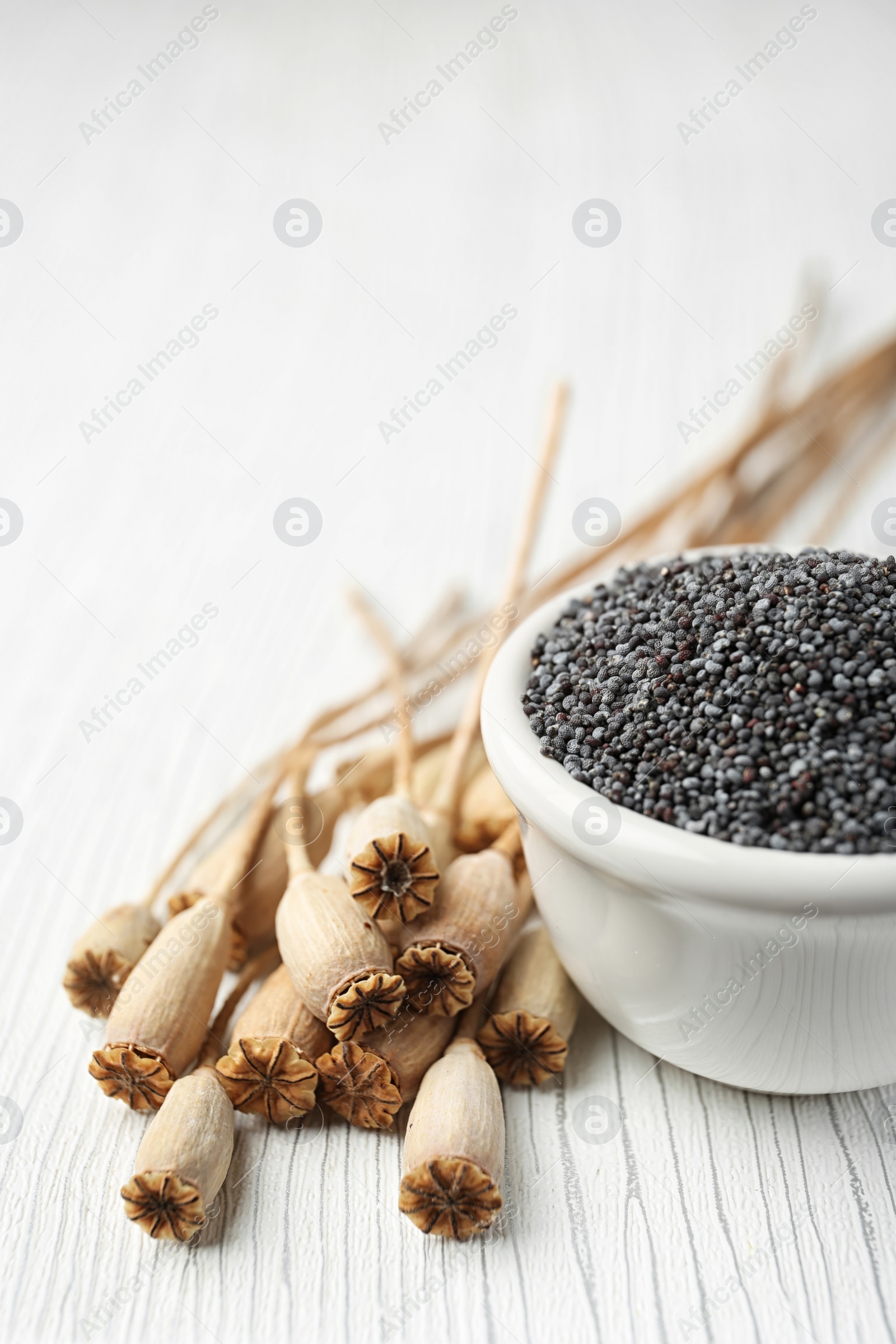 Photo of Dry poppy heads and bowl with seeds on white wooden background