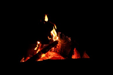 Beautiful view of bonfire at night. Camping season